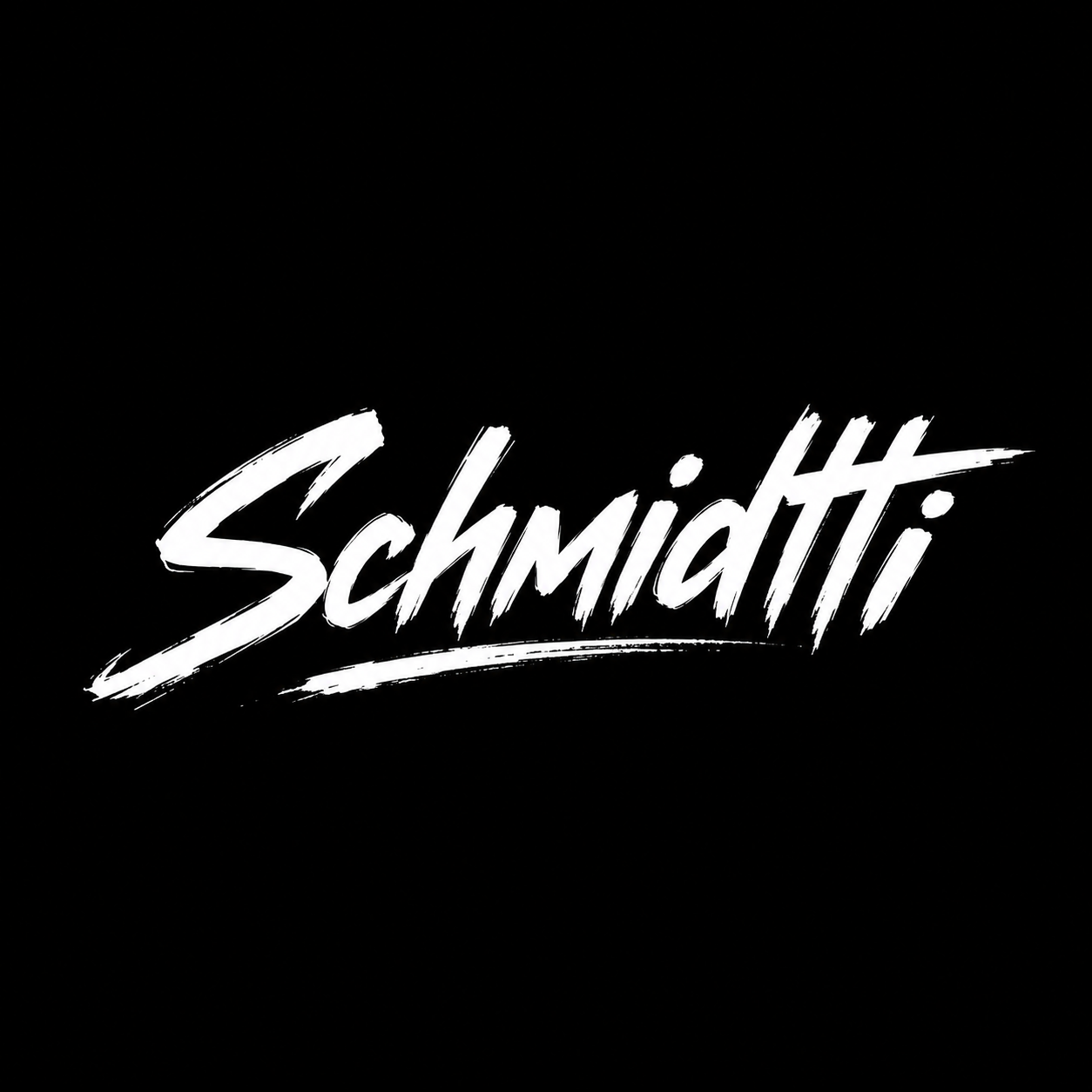 Schmidtti Logo